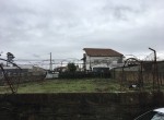 IMG_3342