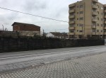 IMG_3345